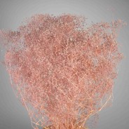 Gipsophila essiccata  50 G - Rosa caldo