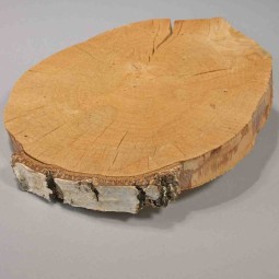 Fetta di Betulla - D 25 Cm / Naturale