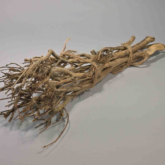 Rami essiccati di The 8 Pezzi - 50 Cm / Naturale