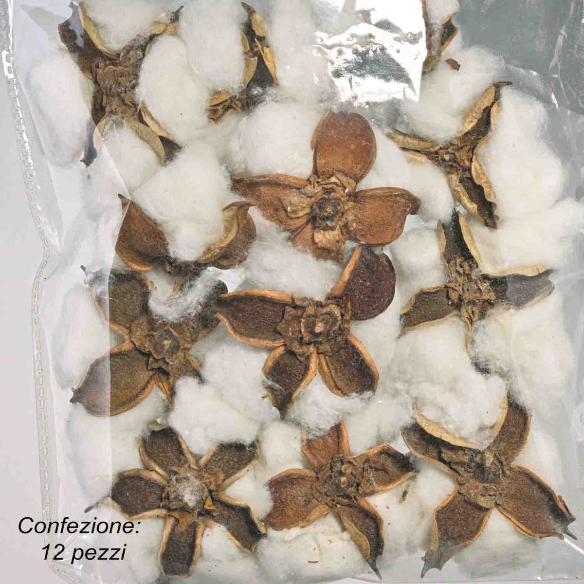 Fiocchi di Cotone 12 pezzi - 5 Cm / Bianco