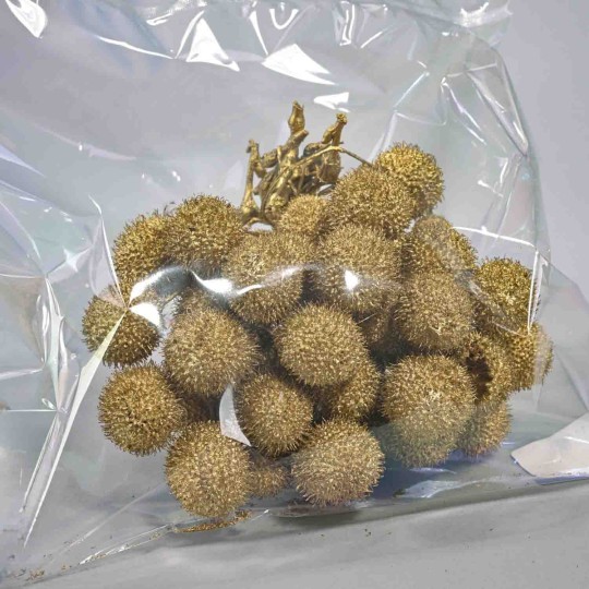 Echinops essiccato in grappolo - Oro