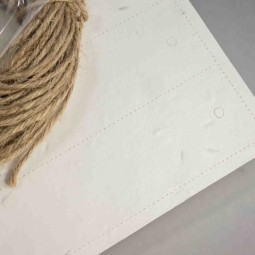 Cartellino "Tag" con semi 50 Pezzi - 3,5x13,5 Cm / Bianco