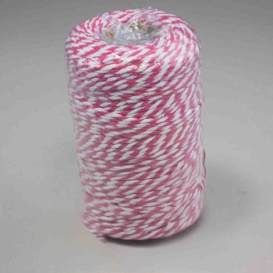 Cordino bicolore - 2 Mm x 100 M / Fucsia