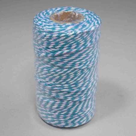 Cordino bicolore - 2 Mm x 100 M / Turchese