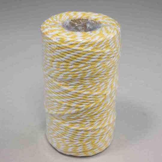 Cordino bicolore - 2 Mm x 100 M / Giallo