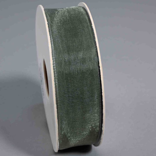 Nastro in "Organza" - 25 Mm x 50 M / Verde