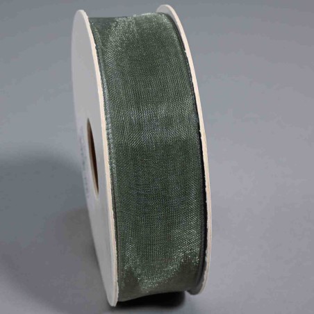 Nastro in "Organza" - 25 Mm x 50 M / Verde