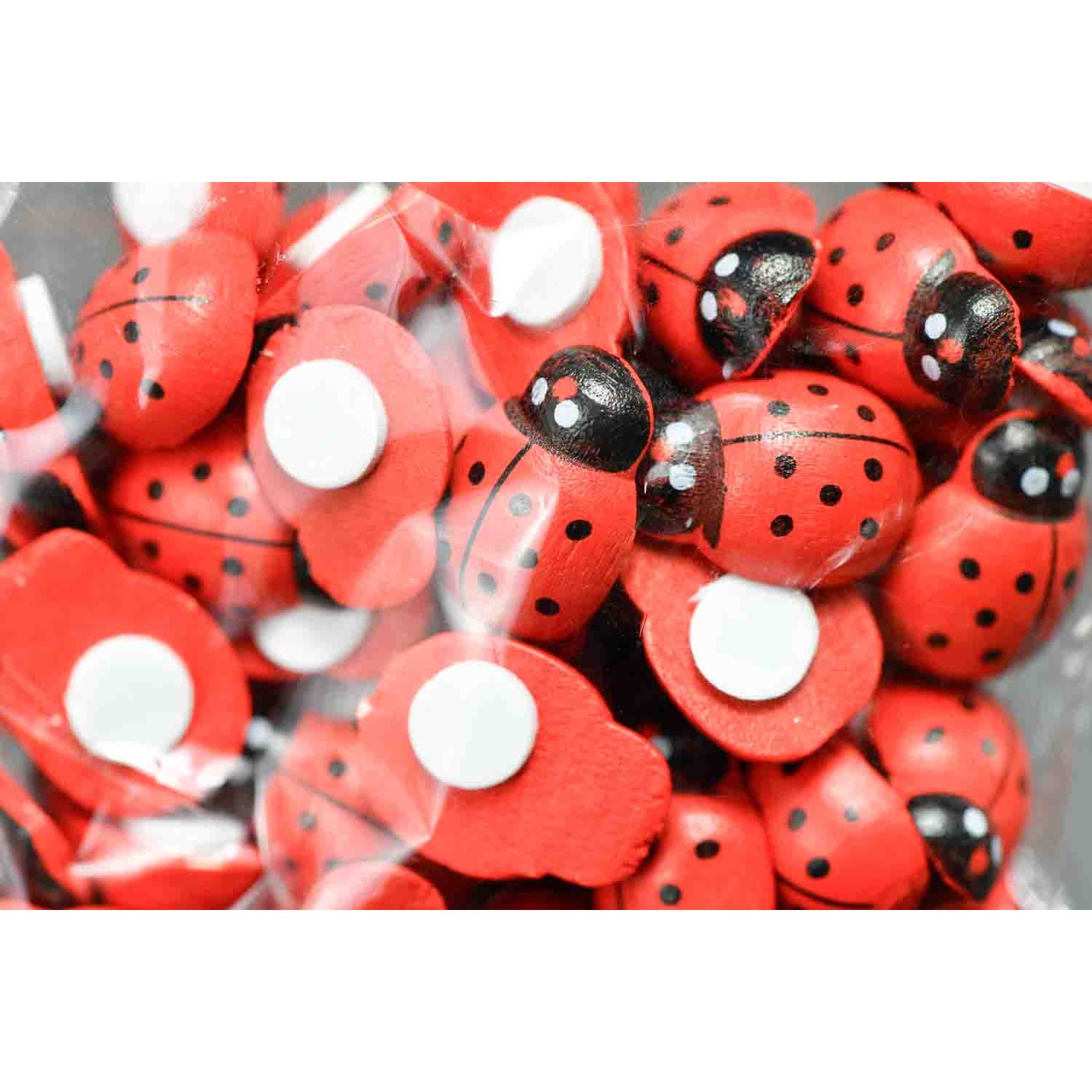 Coccinella rossa MM 18