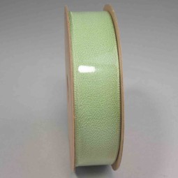 Nastro "Organza Mercurio" - 25 Mm x 10 M / Verde