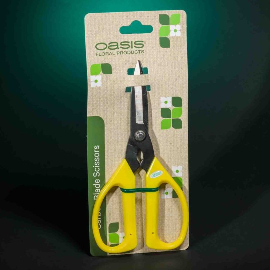 Forbici in Carbonio - 18 Cm