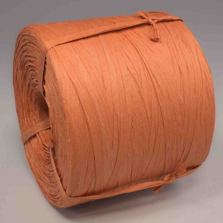Cordino in Raphia - 5 Mm x 500 M / Arancione