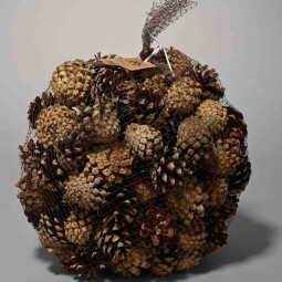 Pigne in sacchetto - 1 Kg / Naturale