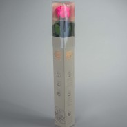 Rosa stabilizzata con stelo - 55 CM - Rosa brillante