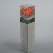 Rosa stabilizzata con stelo - 25 CM - Arancione
