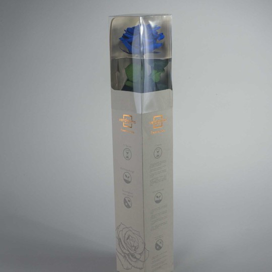 Rosa stabilizzata "Amorosa" - Blu Scuro