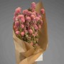 Gomphrena in mazzo - Rosa