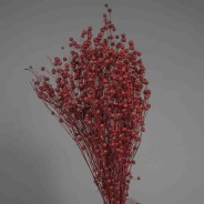 Lino in sacchetto - 100 G / Bordeaux