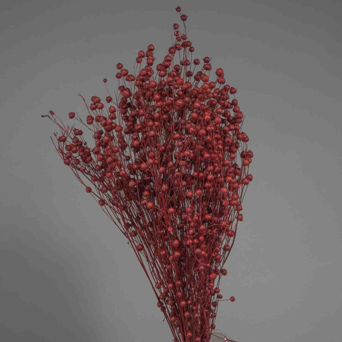 Lino in sacchetto - 100 G / Bordeaux