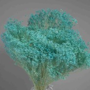 Broom bloom essicato 100 G - Azzurro