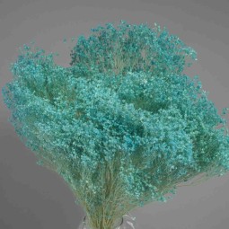 Broom bloom essicato 100 G - Azzurro