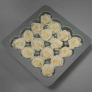 Rose stabilizzate - 16 Pezzi - Champagne