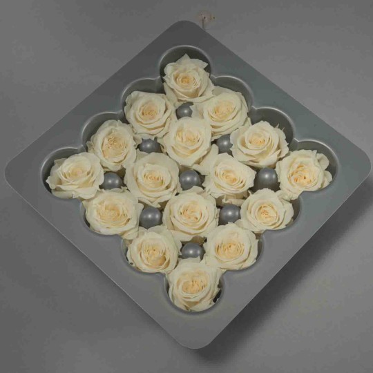 Rose stabilizzate - 16 Pezzi - Champagne