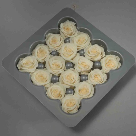 Rose stabilizzate - 16 Pezzi - Champagne