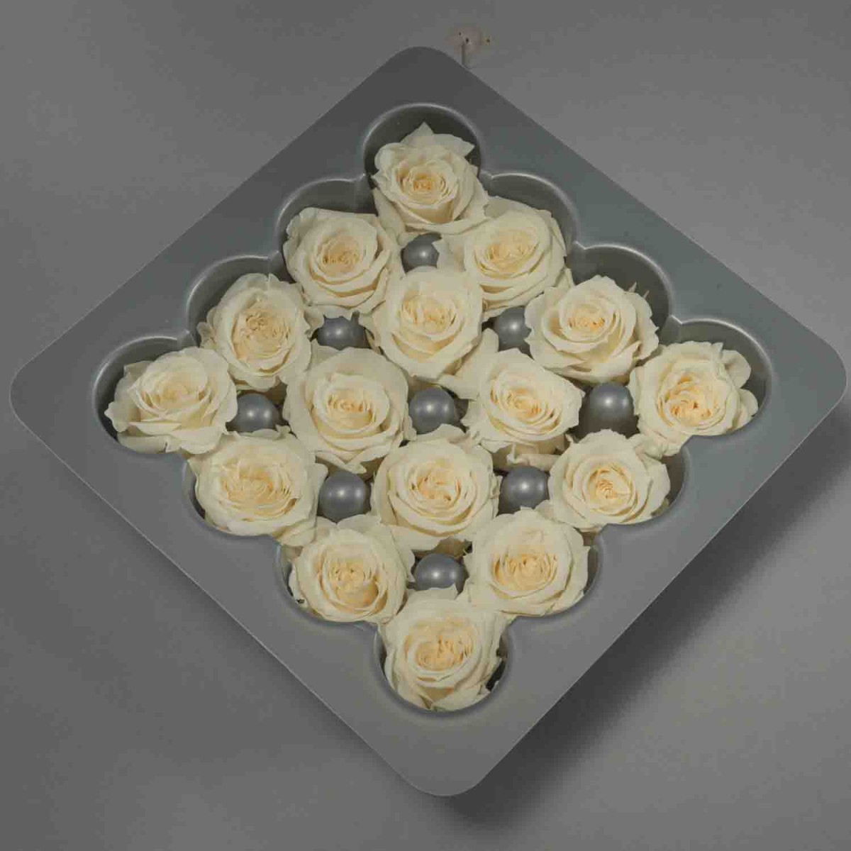 Rose stabilizzate - 16 Pezzi - Champagne