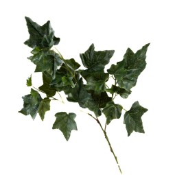 Edera in ramo - 70 Cm / Verde