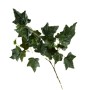 Edera in ramo - 70 Cm / Verde