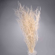 Colza essiccata in mazzo - Bianco