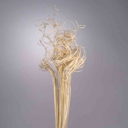 Curly ting ting - 150 G / Bianco