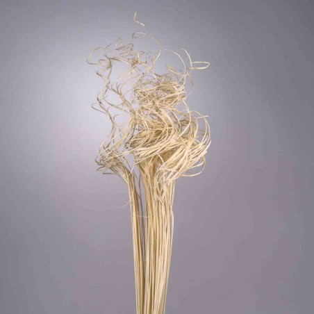 Curly ting ting - 150 G / Bianco