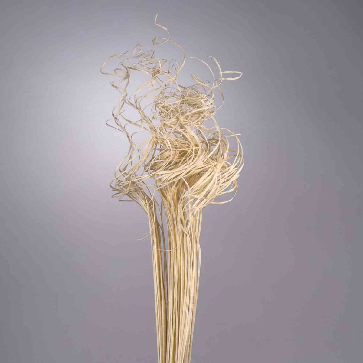 Curly ting ting - 150 G / Bianco