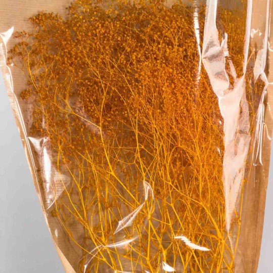 Gipsophila essiccata  50 G - Cognac
