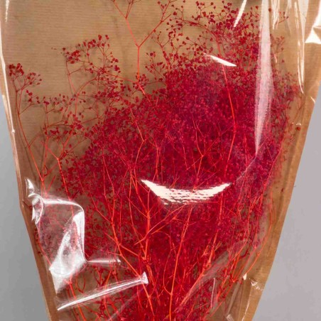 Gipsophila essiccata  50 G - Rosso velluto