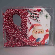 Tag "Babbo Natale"  100 PZ - 5x8 Cm