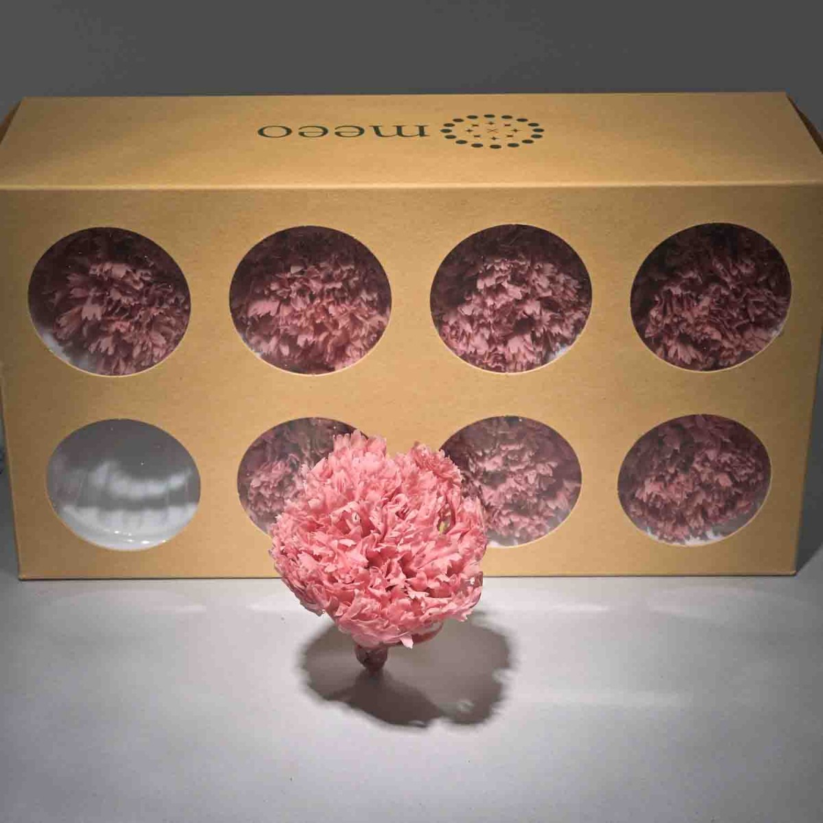 Garofani stabilizzati 8 PZ / Malva