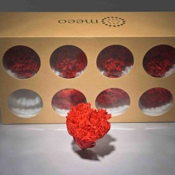 Garofani stabilizzati 8 PZ / Rosso