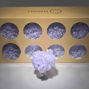 Garofani stabilizzati 8 PZ / Lilla