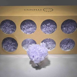 Garofani stabilizzati 8 PZ / Lilla