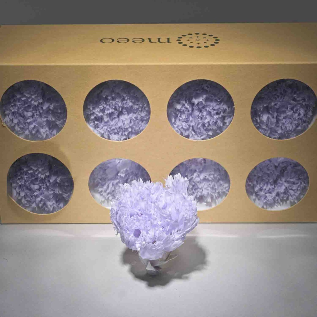 Garofani stabilizzati 8 PZ / Lilla