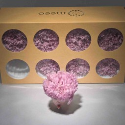 Garofani stabilizzati 8 PZ / Violetto