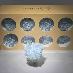 Garofani stabilizzati 8 PZ / Azzurro