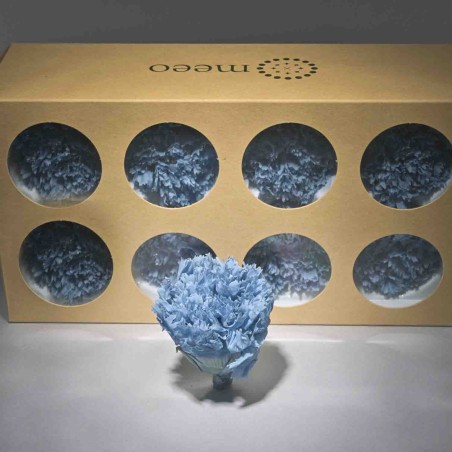 Garofani stabilizzati 8 PZ / Blu polvere