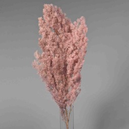 Felce "Ming" stabilizzata - 60 Cm / Malva