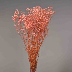 Gypsophila stabilizzata - 68 Cm / Rosa chiaro