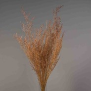 Limonium stabilizzato - 78 Cm / Rosa velluto