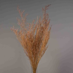 Limonium stabilizzato - 78 Cm / Rosa velluto