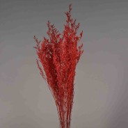 Limonium stabilizzato - 78 Cm / Rosso